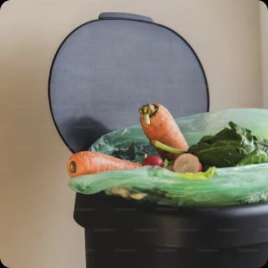 Compost food waste